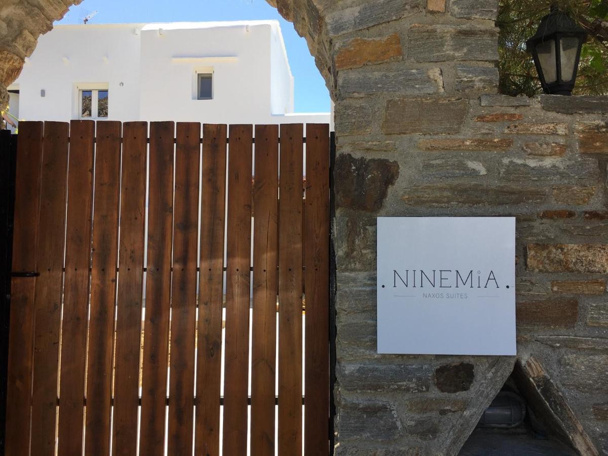 Apartment Ninemia Naxos *